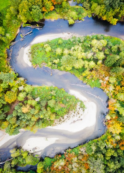 树木环绕河流的航空摄影